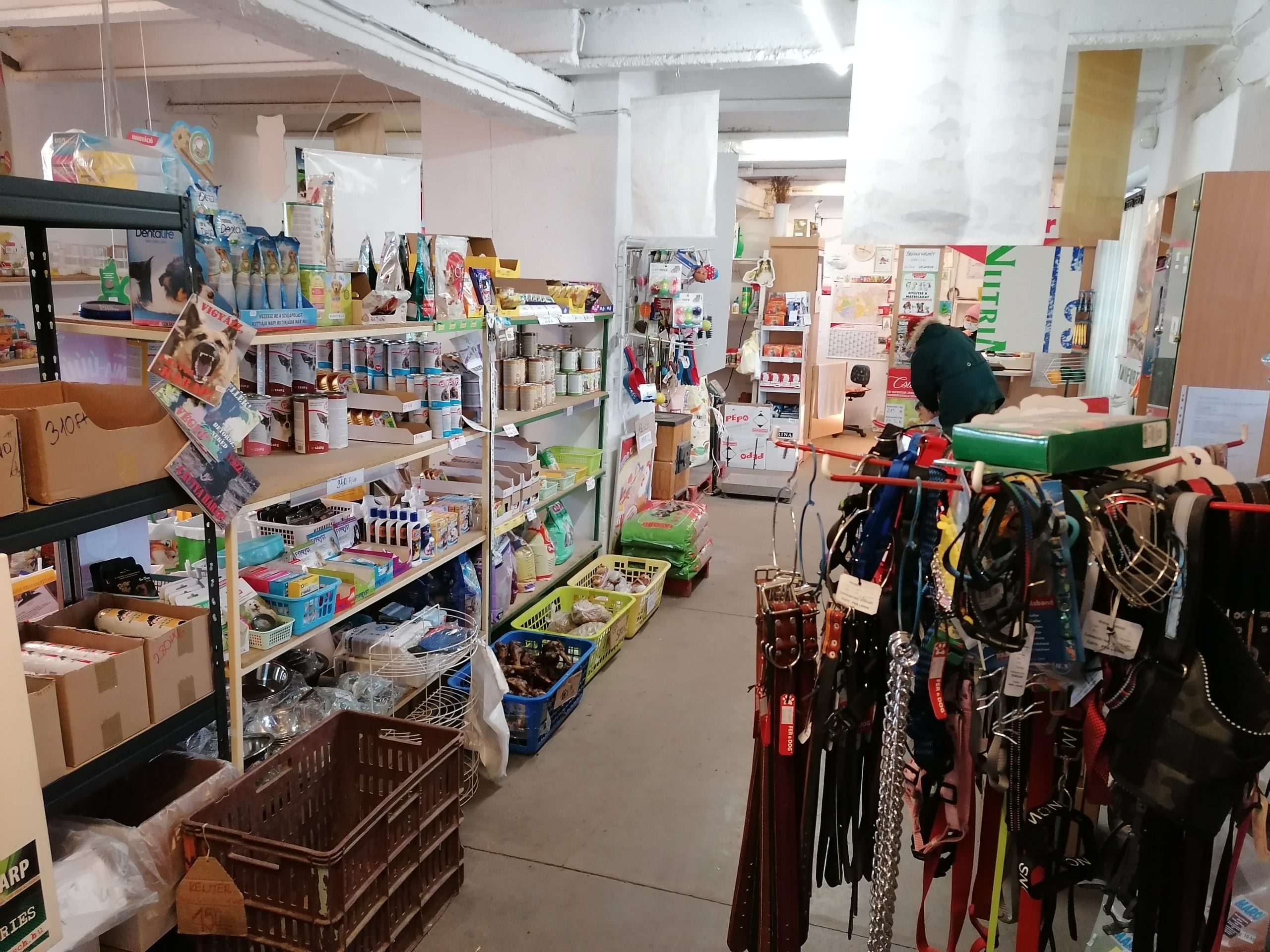 img 20210227 091903 scaled.jpg