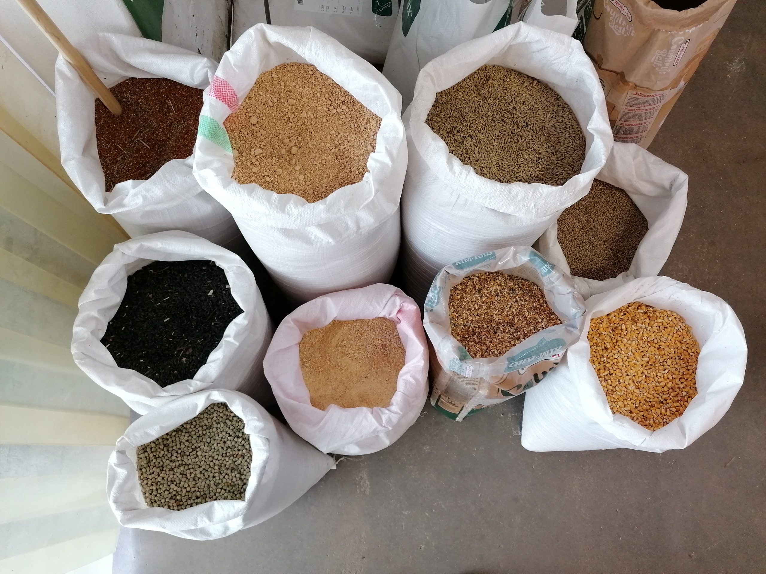 img 20210227 093417 scaled.jpg